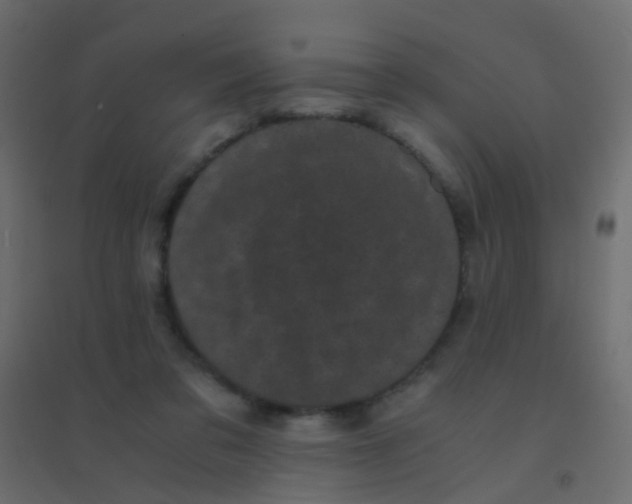 X0000094910309200712131458