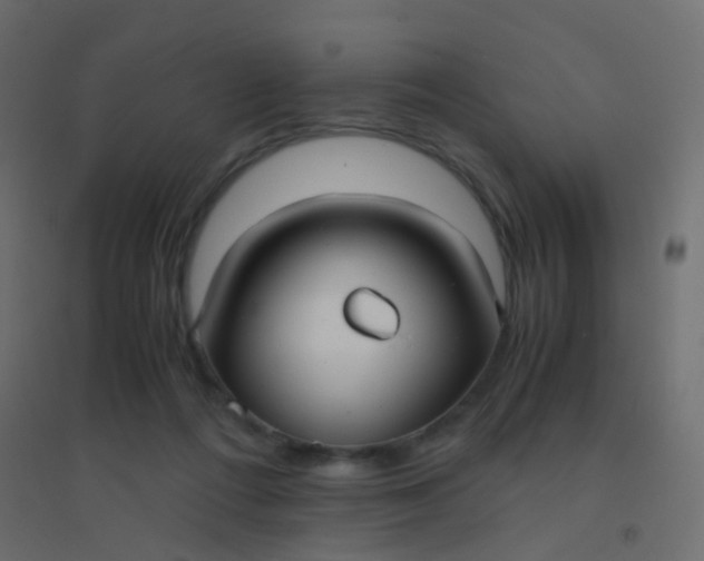 X0000094910312200712131458