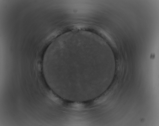 X0000094910313200712131458