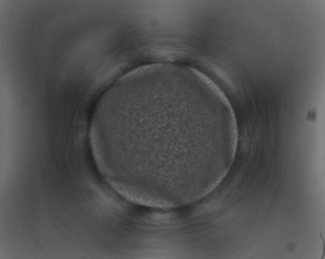 X0000094910314200712131458