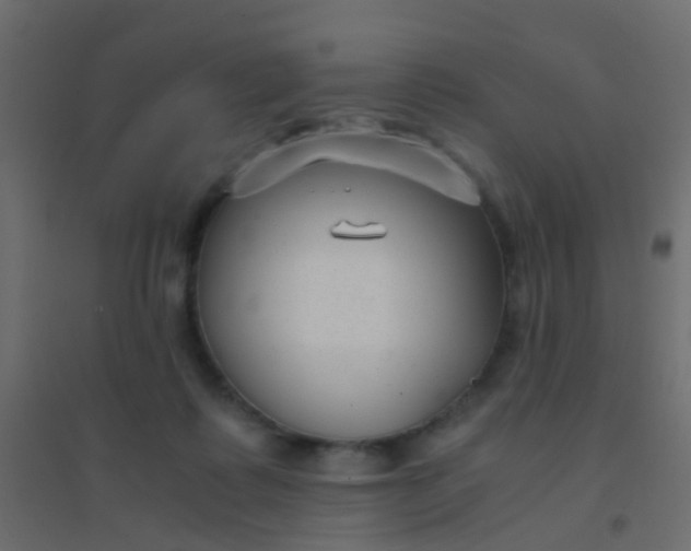 X0000094910315200712131458