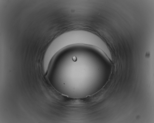 X0000094910316200712131458