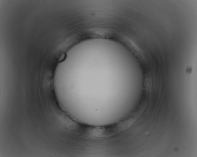X0000094910318200712131458