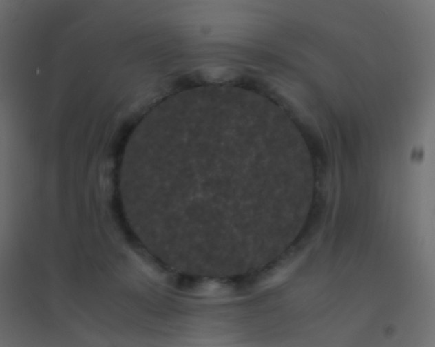 X0000094910319200712131458