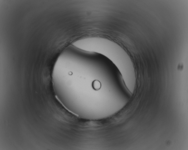X0000094910320200712131458