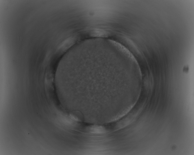 X0000094910322200712131458