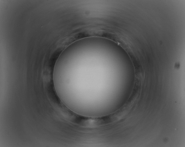 X0000094910323200712131458