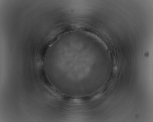 X0000094910324200712131458