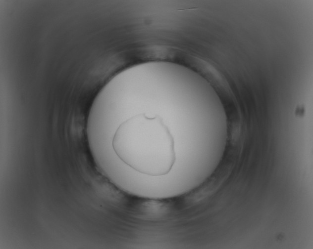 X0000094910326200712131458