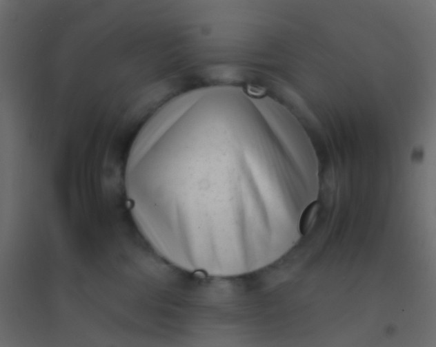 X0000094910330200712131458