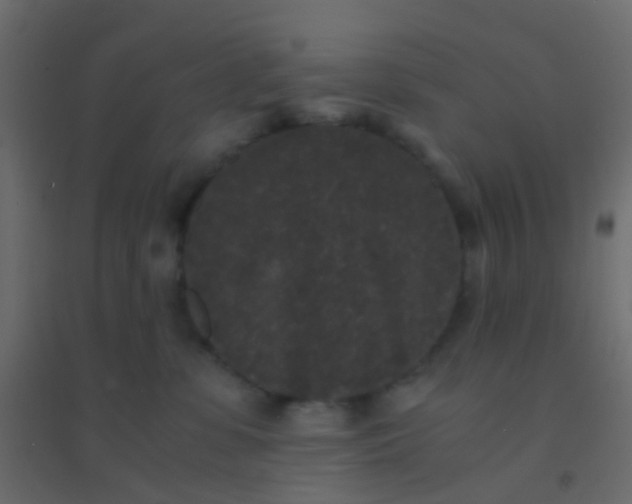 X0000094910331200712131458