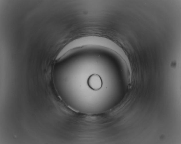 X0000094910332200712131458