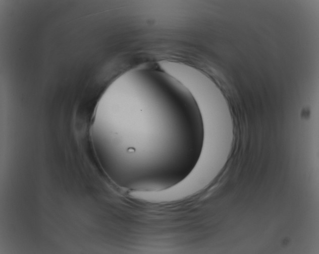 X0000094910333200712131458