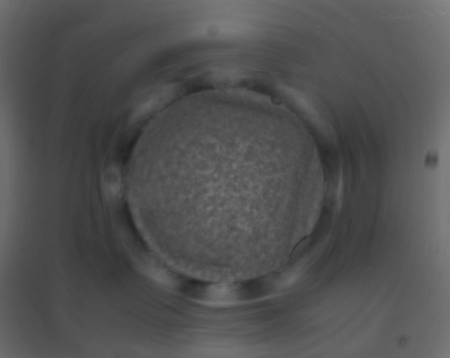 X0000094910335200712131458