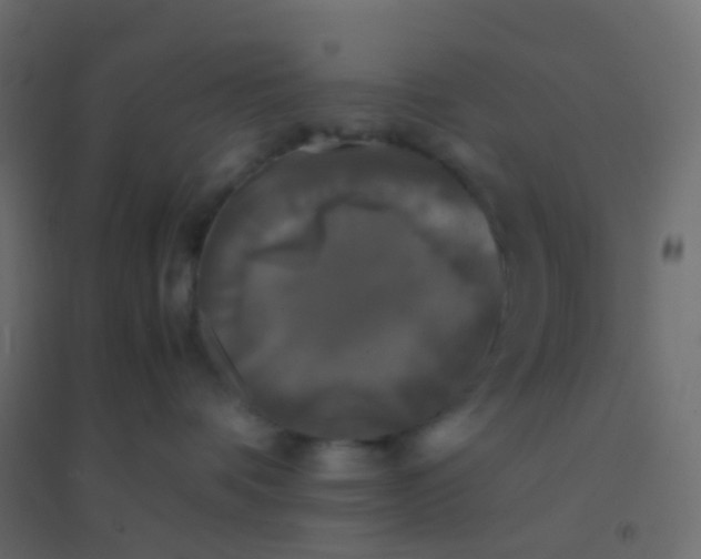 X0000094910336200712131458