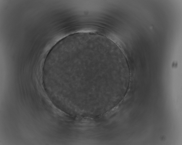 X0000094910337200712131457