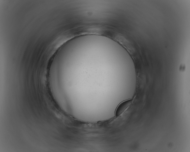X0000094910338200712131457