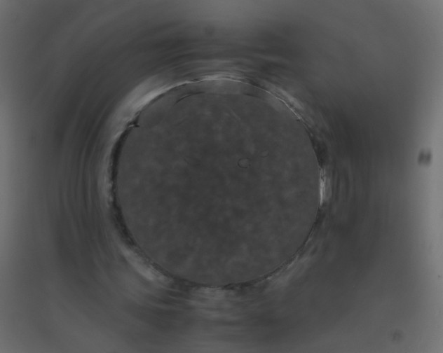 X0000094910339200712131457