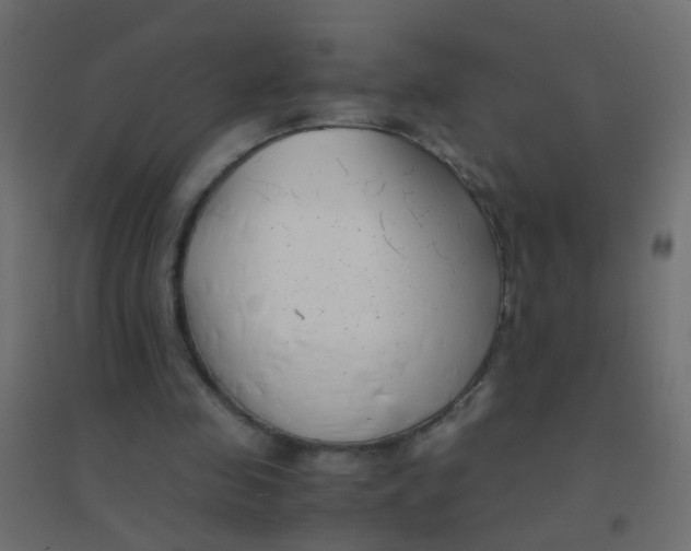 X0000094910341200712131457