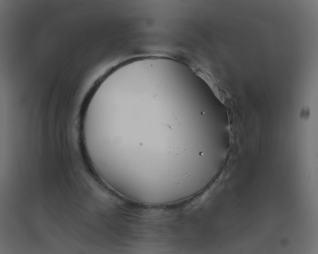 X0000094910342200712131457