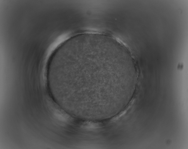 X0000094910343200712131457