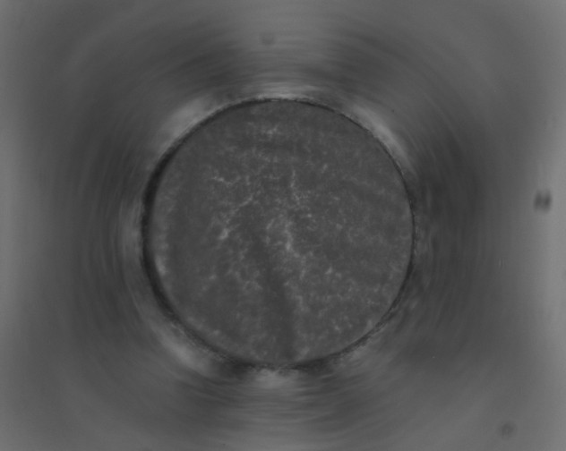 X0000094910346200712131457