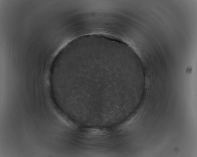 X0000094910347200712131457
