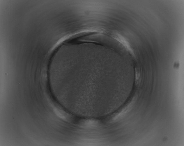 X0000094910348200712131457
