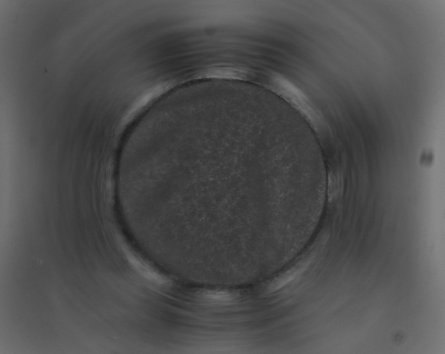 X0000094910349200712131457