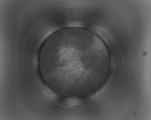 X0000094910351200712131457