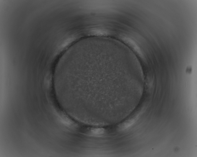 X0000094910355200712131458