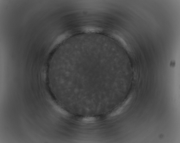 X0000094910357200712131458