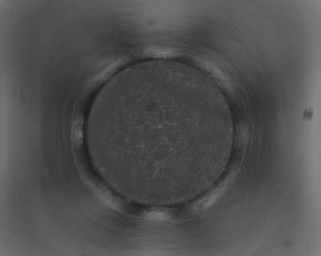 X0000094910358200712131458