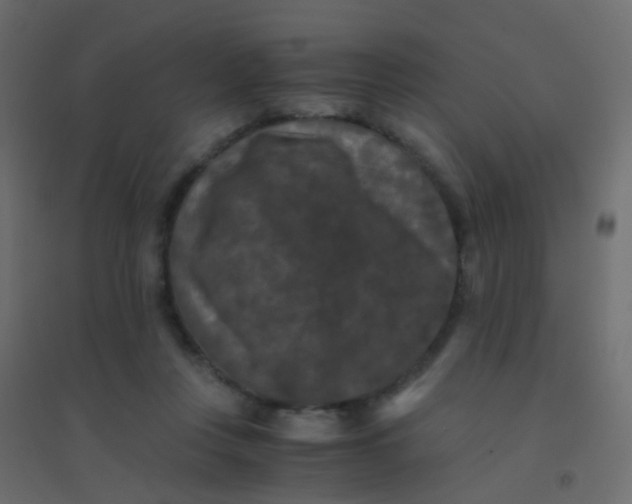 X0000094910359200712131458