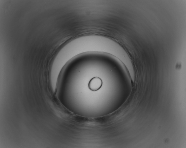 X0000094910360200712131458