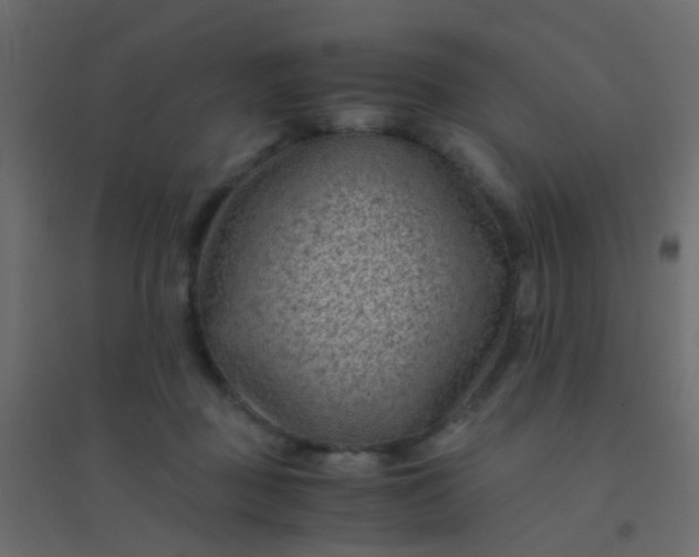 X0000094910363200712131458