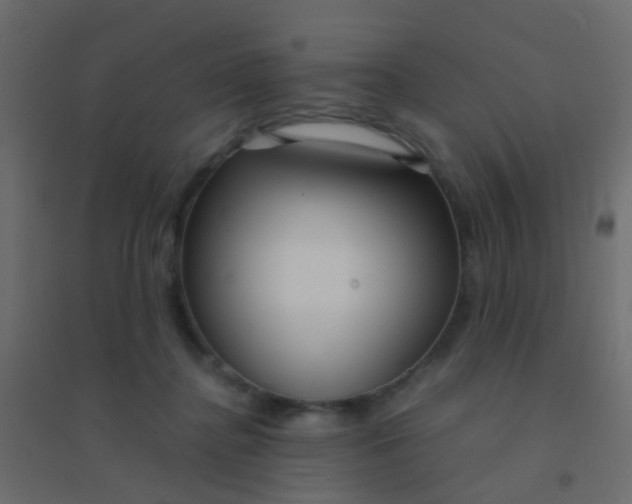 X0000094910364200712131458