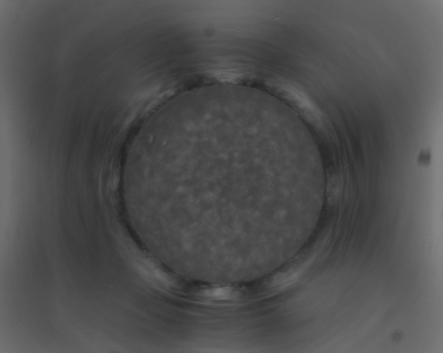 X0000094910365200712131458