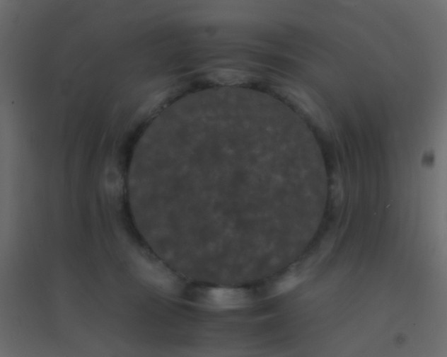 X0000094910371200712131458