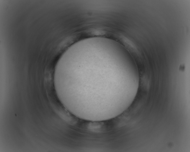 X0000094910373200712131458