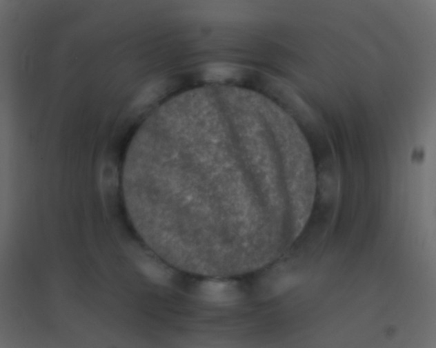 X0000094910375200712131458