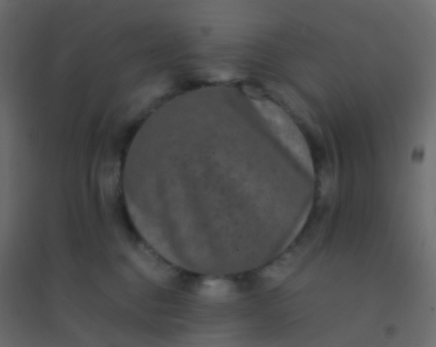 X0000094910376200712131458