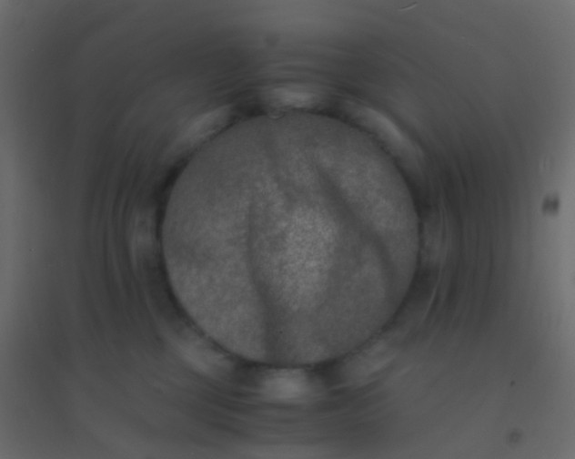 X0000094910377200712131458
