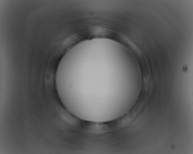 X0000094910379200712131458