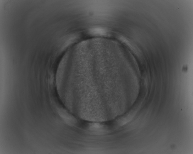 X0000094910380200712131458
