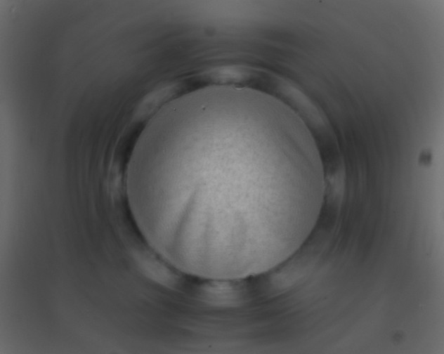 X0000094910381200712131458