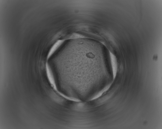 X0000094910382200712131458