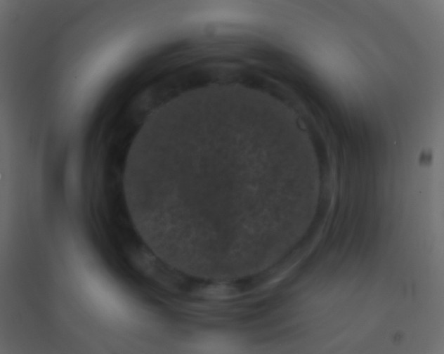 X0000094910383200712131458