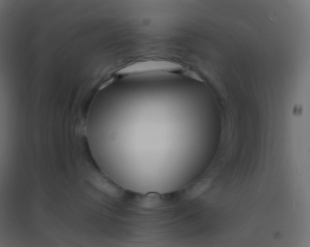 X0000094910384200712131458