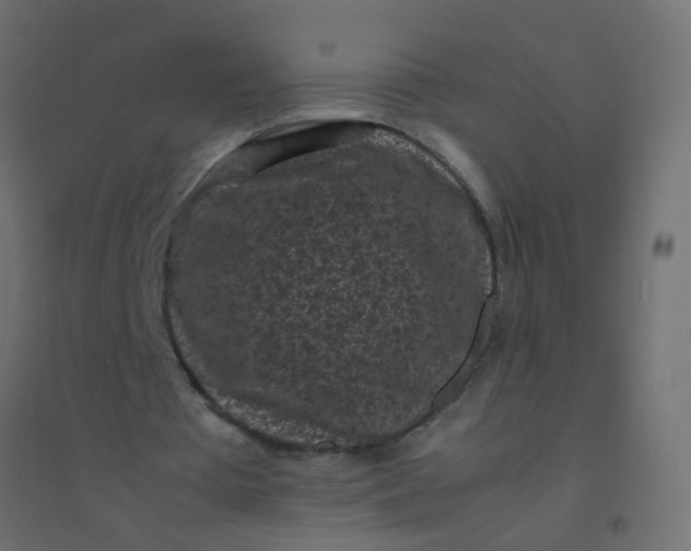 X0000094910385200712131457